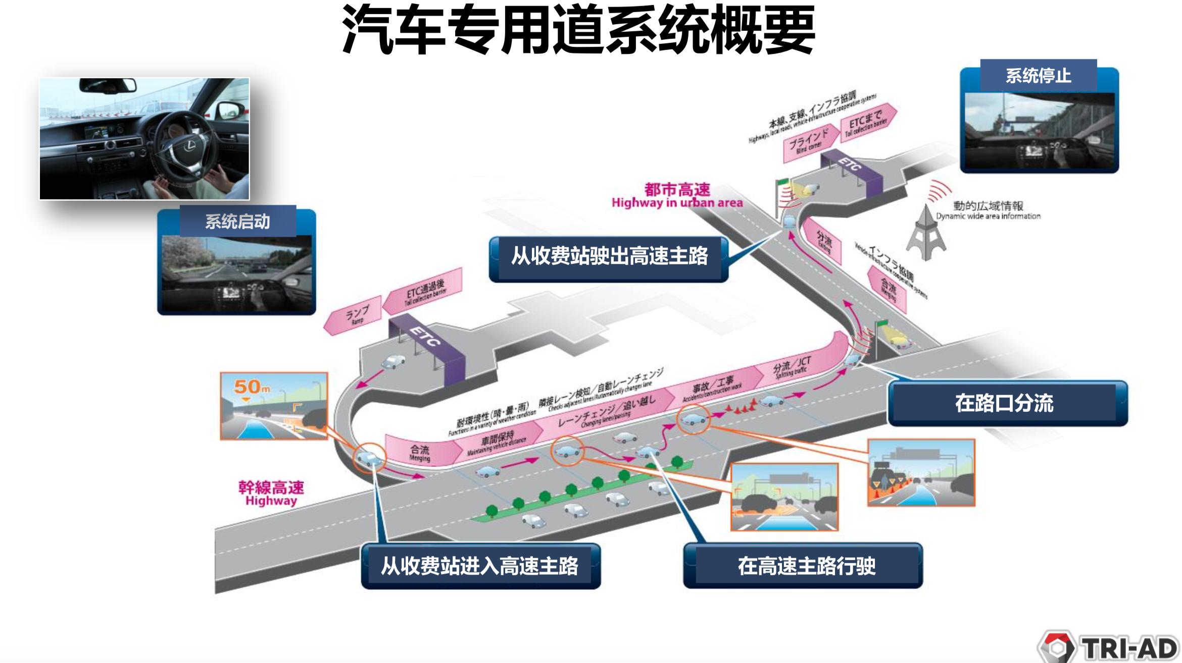 2025全年资料免费资料,实证释义解释落实