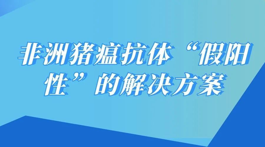 2025澳门今晚必开一肖的警惕虚假宣传-详细解答、解释与落实