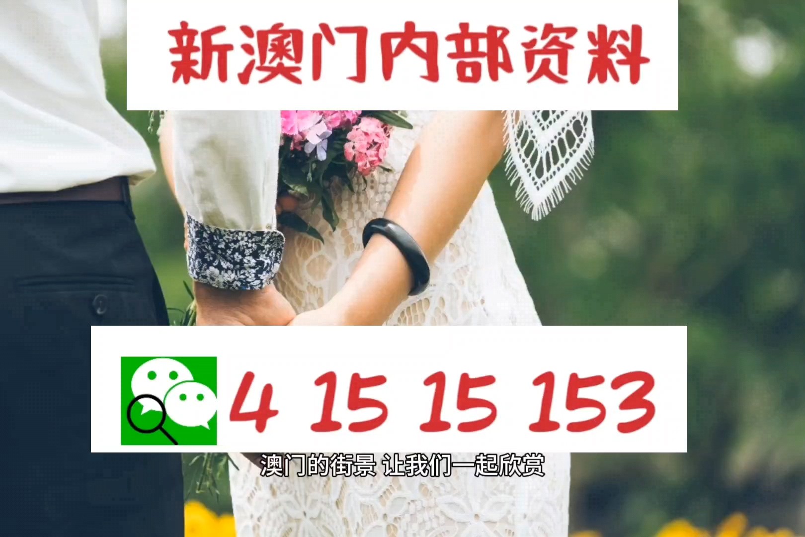 2025新澳门精准正版图库,全面释义、解释与落实